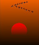 migratory-birds-157638__180