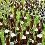 beer-bottles-949796__180